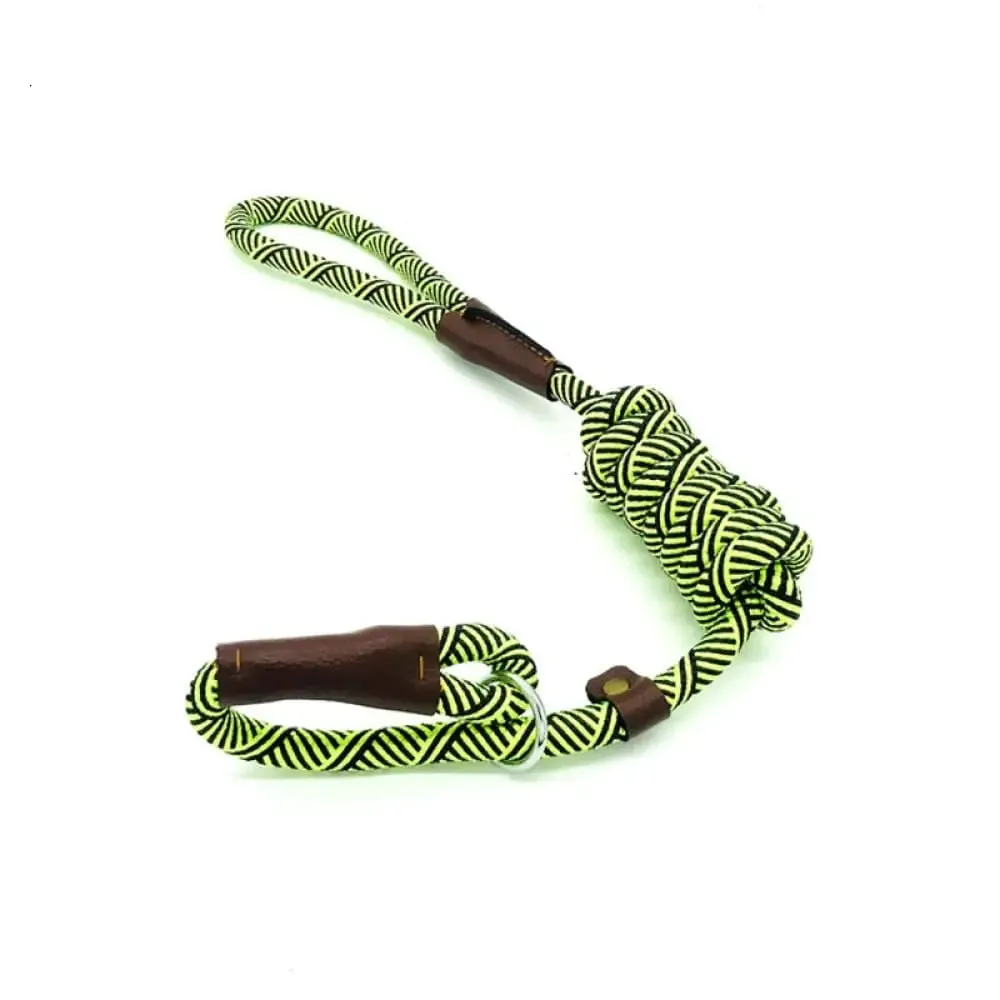 2 in 1 Durable Comfortable Adjustable Loop Pet Harness Leash for Small, Medium, and Large Dogs