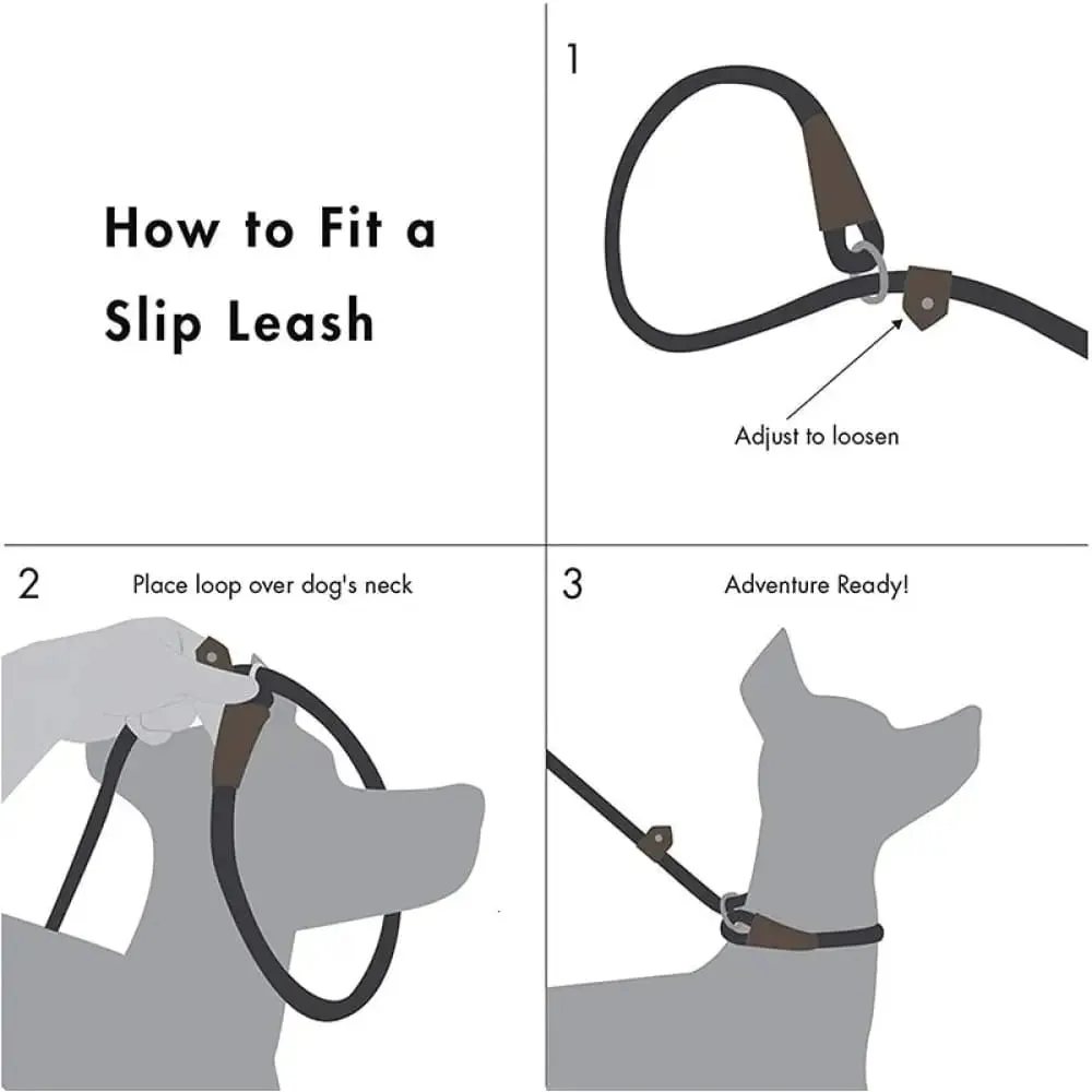 2 in 1 Durable Comfortable Adjustable Loop Pet Harness Leash for Small, Medium, and Large Dogs