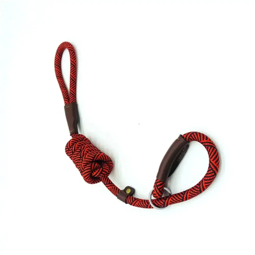 2 in 1 Durable Comfortable Adjustable Loop Pet Harness Leash for Small, Medium, and Large Dogs