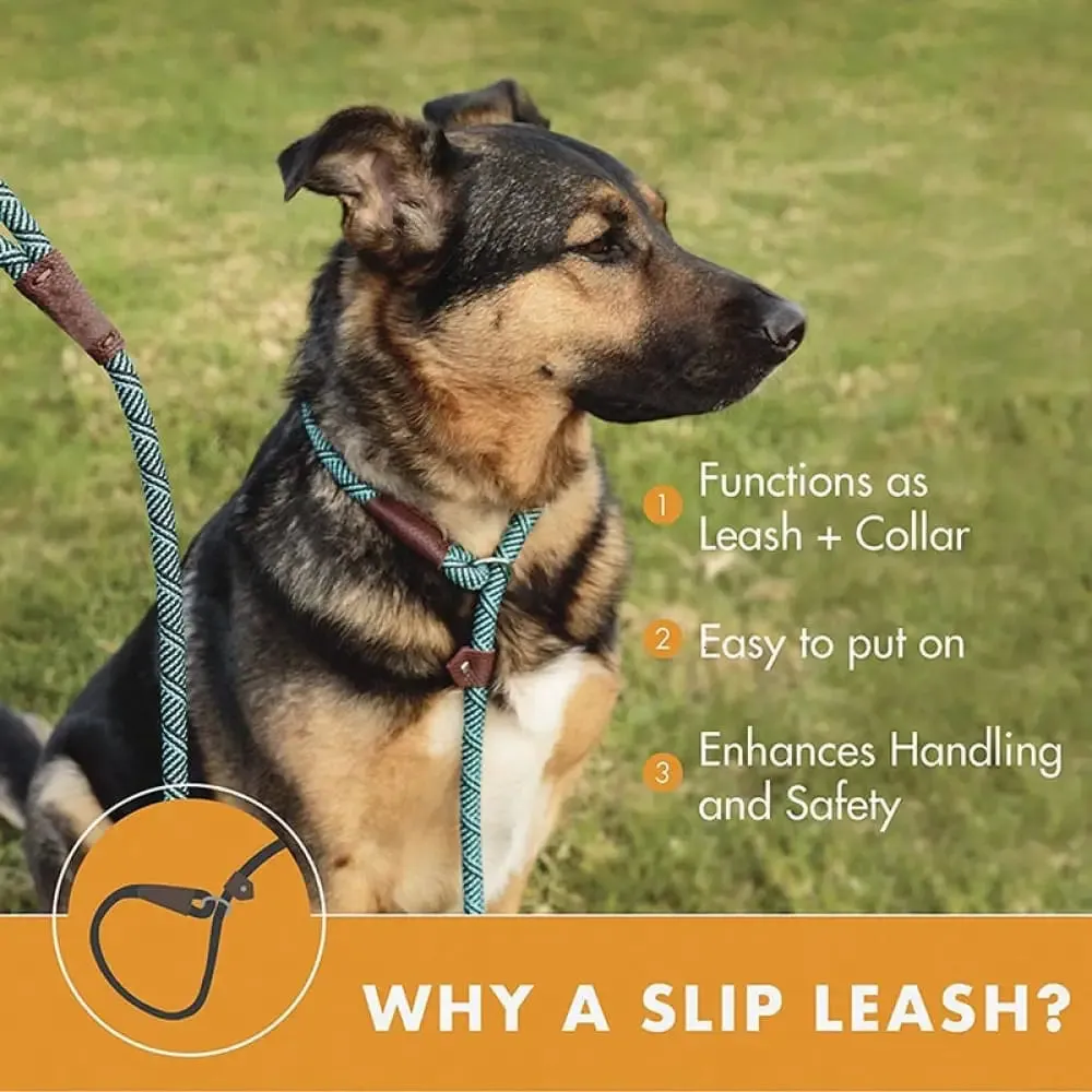 2 in 1 Durable Comfortable Adjustable Loop Pet Harness Leash for Small, Medium, and Large Dogs