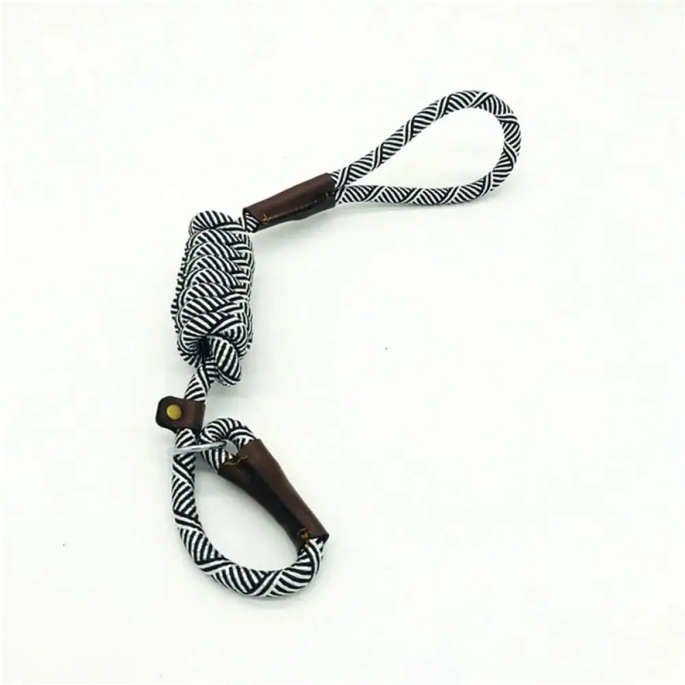 2 in 1 Durable Comfortable Adjustable Loop Pet Harness Leash for Small, Medium, and Large Dogs