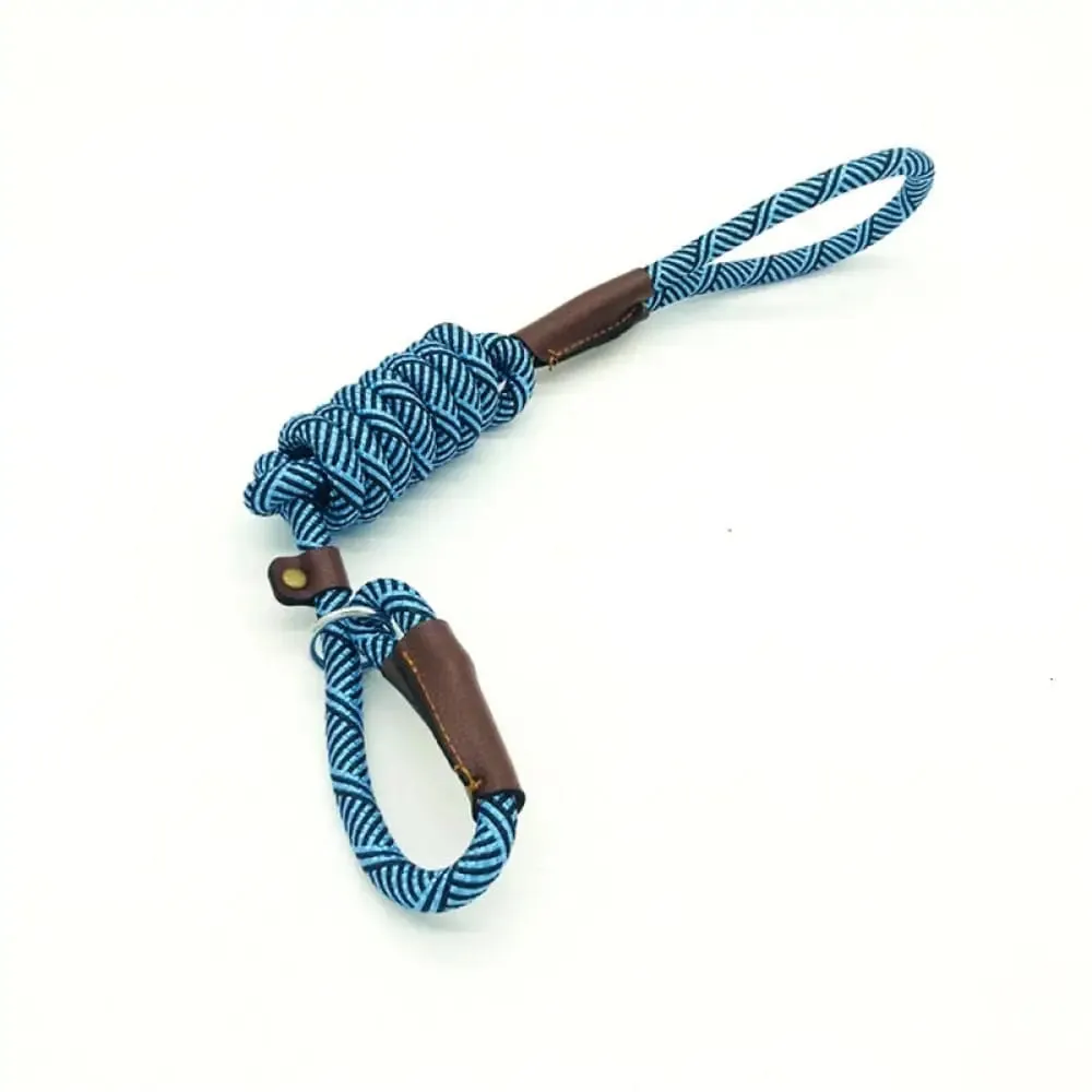 2 in 1 Durable Comfortable Adjustable Loop Pet Harness Leash for Small, Medium, and Large Dogs
