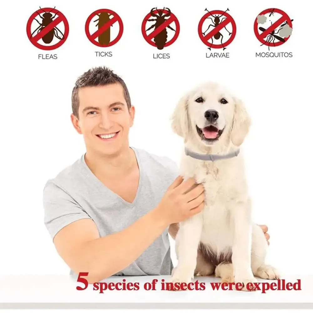 8 Months Protection Safe Waterproof Adjustable Dog Flea Tick Prevention Collar