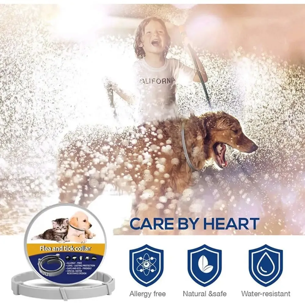 8 Months Protection Safe Waterproof Adjustable Dog Flea Tick Prevention Collar