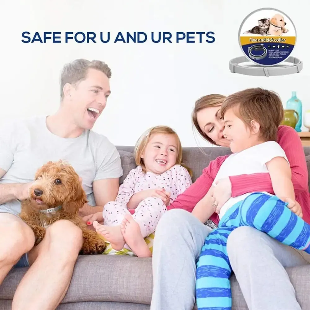 8 Months Protection Safe Waterproof Adjustable Dog Flea Tick Prevention Collar