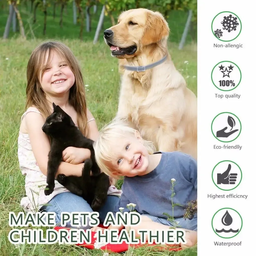 8 Months Protection Waterproof Safe Adjustable Anti Tick Dog Collar